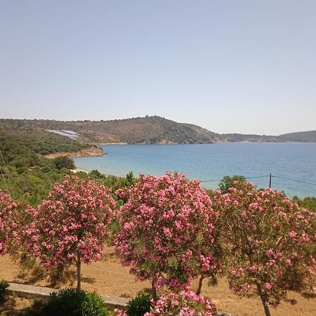 Skoutari Beach Hotel מראה חיצוני תמונה