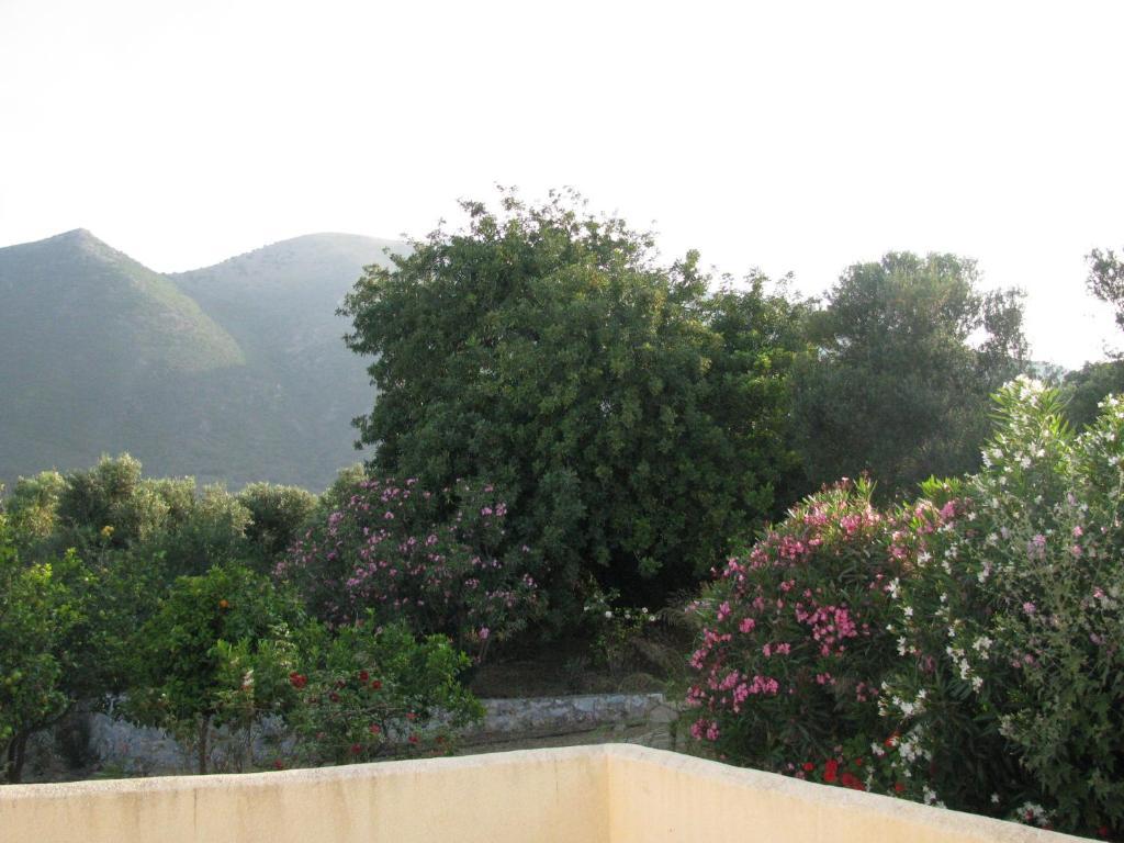 Skoutari Beach Hotel חדר תמונה