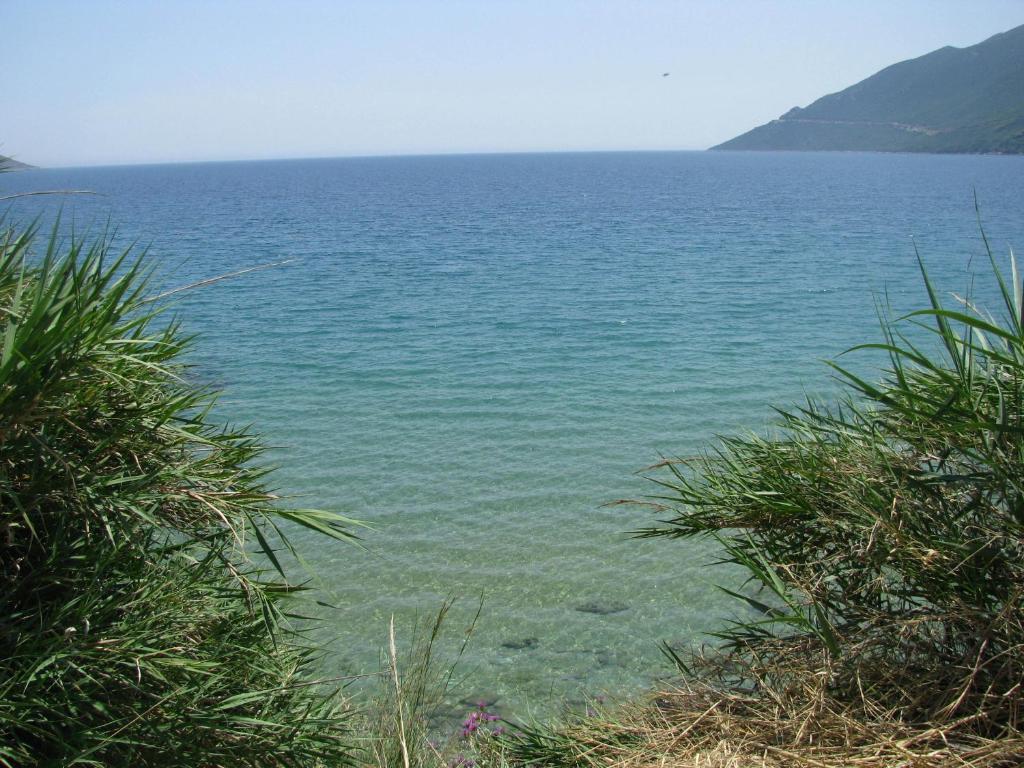 Skoutari Beach Hotel מראה חיצוני תמונה