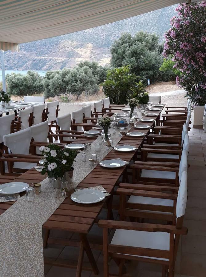 Skoutari Beach Hotel מראה חיצוני תמונה